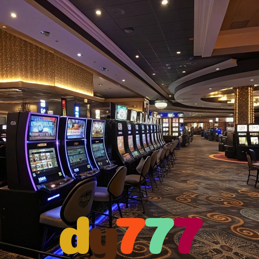  dy777