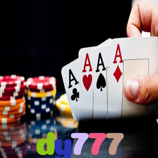  dy777