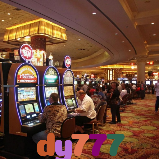  dy777