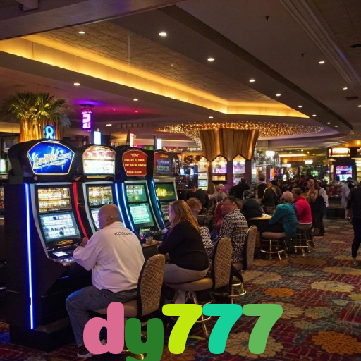  dy777
