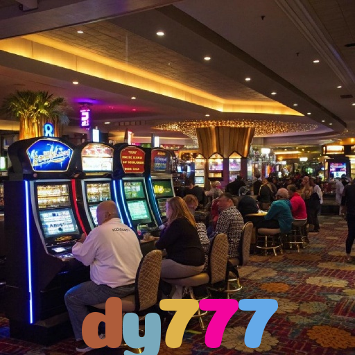  dy777