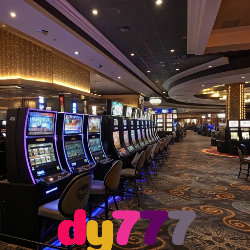  dy777