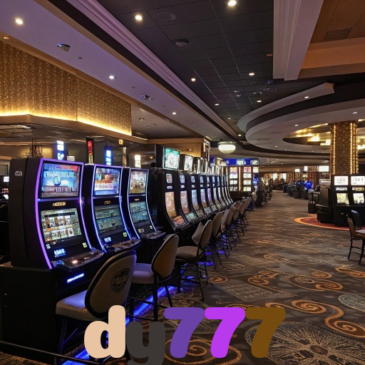  dy777