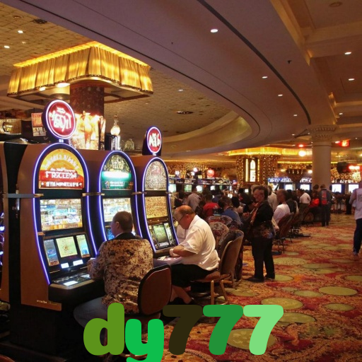  dy777